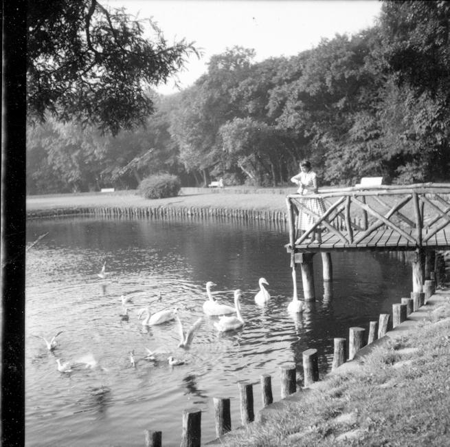 1955 - Napoleonschanze