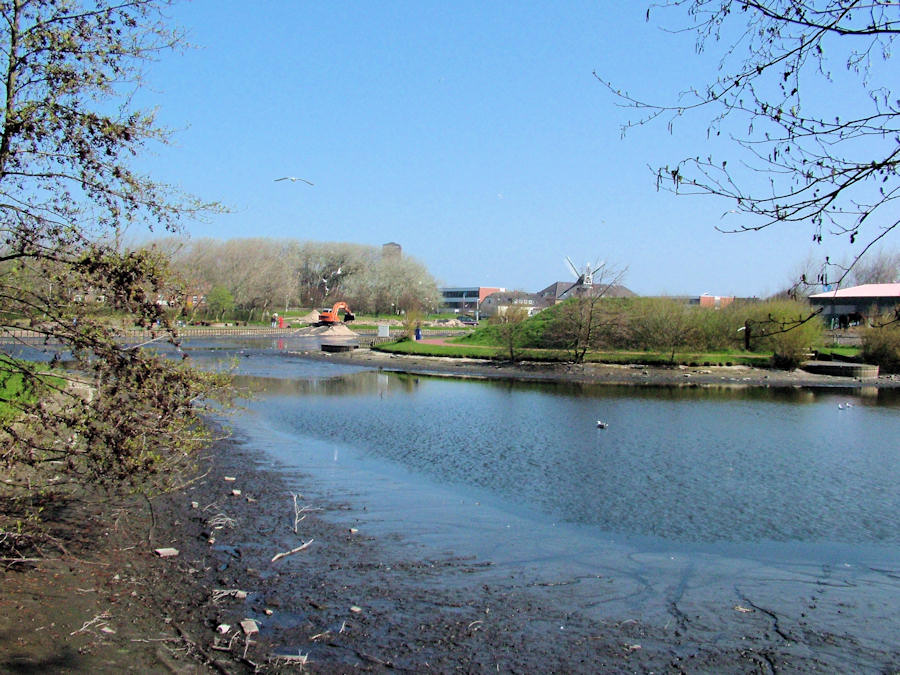 2005 - Sanierung / Säuberung Gondelteich