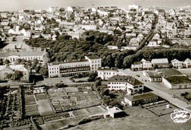 Hinnis Tuun Hinnis Tuun