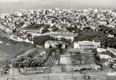 Hinnis Tuun Hinnis Tuun