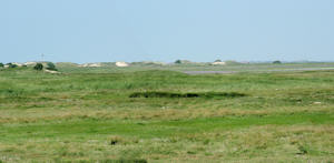 Blickrichtung Möwendüne (08.08.2004) Blickrichtung Möwendüne (08.08.2004)