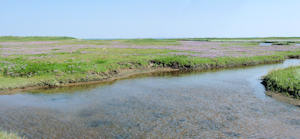 Priel (08.08.2004) Priel (08.08.2004)