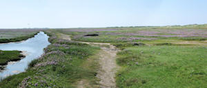 Priel (08.08.2004) Priel (08.08.2004)