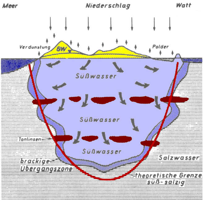 Wasserhaushalt der Insel Wasserhaushalt der Insel