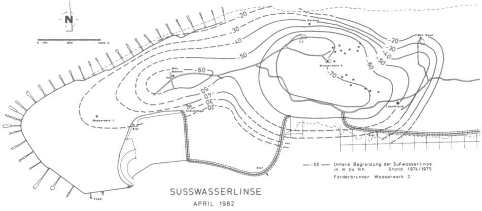 Süsswasserlinse Süsswasserlinse