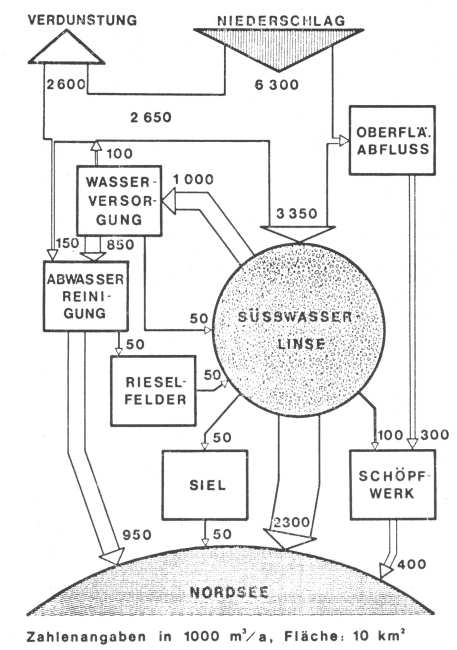 Zahlen zur Süsswasserlinse