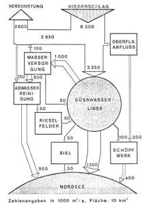 Zahlen zur Süsswasserlinse