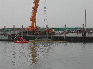 Pottwalstrandung vor Norderney