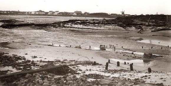 Überblick über die Polderwiesen