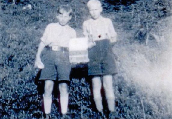 Blaubeerenpflücken in Österreich