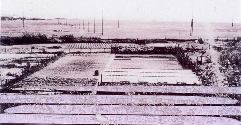 Rollfeld des Fliegerhorstes