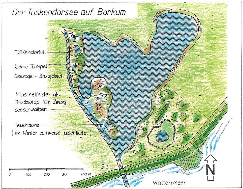 Tüskendörsee auf Borkum Tüskendörsee auf Borkum