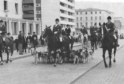 Niedersachsen-Meute Niedersachsen-Meute