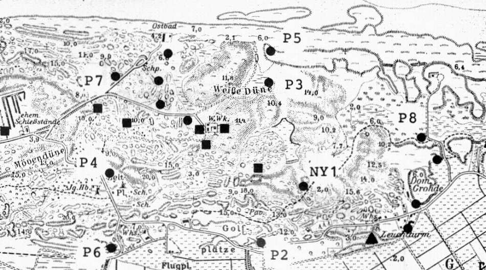 Süsswasserlinse Süsswasserlinse