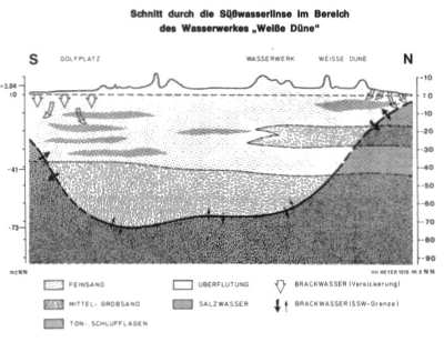 Süßwasserlinse