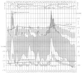 Süßwasserlinse Süßwasserlinse